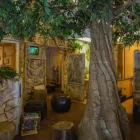 Business 2 image JUNGLE ROOTS CHILDREN'S DENTISTRY & ORTHODONTICS Dentists in Phoenix AZ