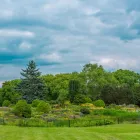 Business 2 image KENTREE WHOLESALE LANDSCAPES, LLC Lawn Care & Garden Maintenance in Fort Lauderdale FL