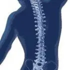 Business 3 image KERNER CHIROPRACTIC Chiropractors & Chiropractic Services in San Francisco CA