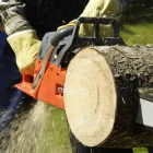 Business 2 image KRONOS TREECARE & LANDSCAPE Tree Service in Sacramento CA