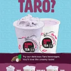 Business 9 image KUNG FU TEA Kung Fu Tea in Tampa FL