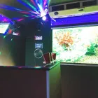 Business 12 image L3 LIMO Transportation Services in Tampa FL