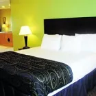 Business 5 image LA QUINTA INN & SUITES TAMPA CENTRAL Motels in Tampa FL