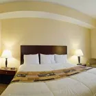 Business 3 image LA QUINTA INN & SUITES TAMPA CENTRAL Motels in Tampa FL