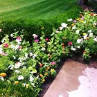 Business 9 image LAND DESIGNS BY COLTON Xeriscaping in Wheat Ridge CO