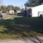 Business 1 image LANDSCAPER ORLANDO FL - B & M PARADISE SERVICES Construction Management in Davie FL