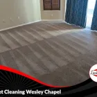 Business 1 image LANIOR CARPET CLEANING, LLC Cleaning Services in Brandon FL