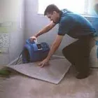 Business 2 image LANIOR CARPET CLEANING Cleaning Services in Brandon FL