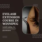 Business 6 image LAVISH LASHES, INC. School Beauty in Palm Harbor FL