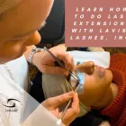 Business 10 image LAVISH LASHES, INC. School Beauty in Palm Harbor FL