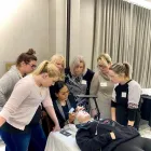 Business 14 image LAVISH LASHES, INC. School Beauty in Palm Harbor FL