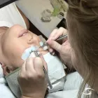 Business 17 image LAVISH LASHES, INC. School Beauty in Palm Harbor FL