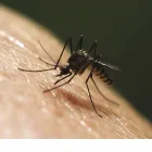 Business 1 image LAWNWORX Lawn Care in Orlando FL