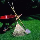 Business 3 image LAWNWORX Lawn Care in Orlando FL