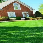 Business 6 image LAWNWORX Lawn Care in Orlando FL