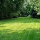 Business 7 image LAWNWORX Lawn Care in Orlando FL