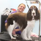 Business 1 image LE PUP AND CRITTERS Pet Stores in Ocoee FL