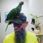 Business 2 image LE PUP PET SUPPLIES AND GROOMING in Ocoee FL