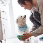 Business 14 image LEAF HOME WATER SOLUTIONS Well Water in Tampa FL