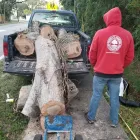 Business 1 image LEO'S TREE & LANDSCAPING SERVICES, LLC Tree Trimming Service in Tampa FL