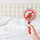 Business 1 image LIGHTNING REMOVAL TERMITE EXPERTS Pest Control Services in Tampa FL