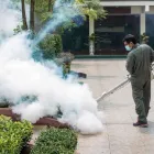 Business 4 image LIGHTNING REMOVAL TERMITE EXPERTS Pest Control Services in Tampa FL