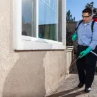 Business 5 image LIGHTNING REMOVAL TERMITE EXPERTS Pest Control Services in Tampa FL