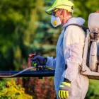 Business 6 image LIGHTNING REMOVAL TERMITE EXPERTS Pest Control Services in Tampa FL