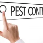 Business 9 image LIGHTNING REMOVAL TERMITE EXPERTS Pest Control Services in Tampa FL