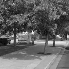 Business 11 image LINCOLN CENTER DENTAL Orthodontists in Englewood CO