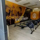 Business 1 image LIVE2ROW STUDIOS in Ocoee FL