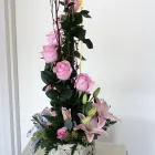 Business 5 image LIZ'S FLOWERS Wholesale Plants & Flowers in San Diego CA