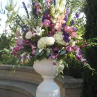 Business 6 image LIZ'S FLOWERS Wholesale Plants & Flowers in San Diego CA