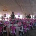 Business 2 image LIZ'S FLOWERS Wholesale Plants & Flowers in San Diego CA