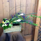 Business 8 image LIZ'S FLOWERS Wholesale Plants & Flowers in San Diego CA