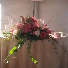 Business 3 image LIZ'S FLOWERS Wholesale Plants & Flowers in San Diego CA