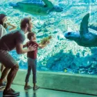 Business 7 image MACKSRIDE Transportation Services in Orlando FL