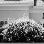 Business 2 image MALIK LAW P.A. in Orlando FL