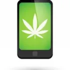 Business 2 image MARIJUANA SEO Internet Marketing & Advertising in San Diego CA