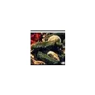 Business 2 image MASALAA RESTERAUNT Restaurants in Aurora CO