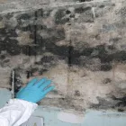 Business 2 image MAYDAY PRO SERVICES FASTER SOLUTION TO ANY DISASTER Fire & Water Damage Restoration in Los Angeles CA