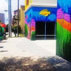 Business 4 image MEDBEST SENIOR CARE RECRUITER Employment Agencies in Tampa FL