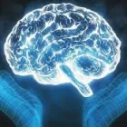 Business 1 image MIAMI CLINIC MENTA L HEALTH FL Mental Health Clinics & Information in Miami FL
