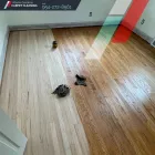 Business 9 image MIAMI GARDENS CARPET CLEANING Upholstery Cleaning in Miami Gardens FL