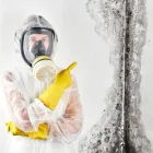 Business 2 image MIKE`S MOLD REMOVAL EXPERTS ORLANDO Mold Removal in Orlando FL