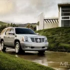 Business 20 image MILES CAR RENTAL TAMPA Van Rental in Tampa FL
