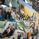 Business 8 image MINDK Web Site Design & Services in S San Francisco CA