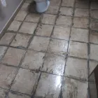 Business 7 image MODERN CLEANING SOLUTIONS LLC Office Cleaning in Tampa FL