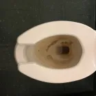 Business 10 image MODERN CLEANING SOLUTIONS LLC Office Cleaning in Tampa FL