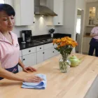Business 1 image MOLLY MAID OF EAST PHOENIX AND PARADISE VALLEY Maid & Butler Services in Phoenix AZ